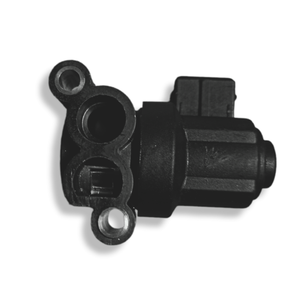 PAANJO Actuator Assy-IDLE Speed AIR Control Valve for Hyundai SANTRO XING